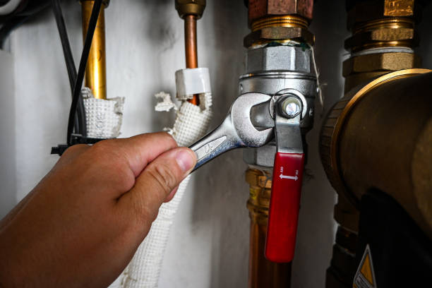 Best Plumbing Inspection Services  in Ashland, NE